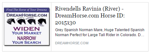 panish-Norman For Sale: Rivendells Ravinia